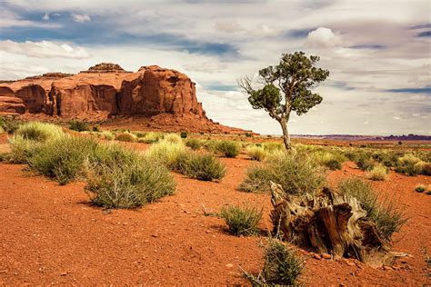 High Desert Landscape Photograph by John Bartelt