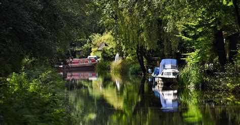 6 Frimley campsites - Best camping in Frimley, Surrey