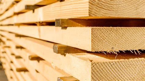 Understanding the booming popularity of timber construction - BUILD ...