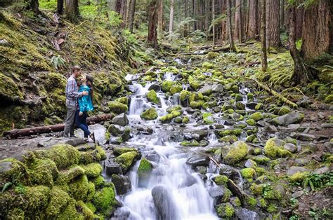 20 Best Hikes in Olympic National Park - Go Wander Wild