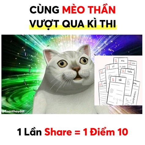 Meme 10 điểm hài hước