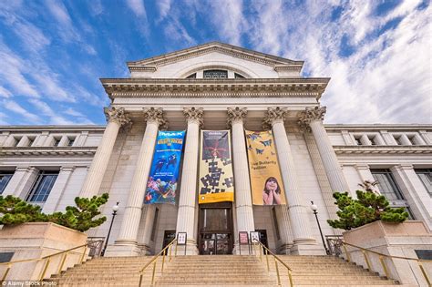 Inside the secret collections of the US National Museum of Natural ...