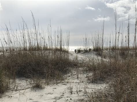 The Importance of Sand Dunes - Beaufort.com