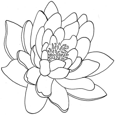 Free Simple Flower Outline, Download Free Simple Flower Outline png ...