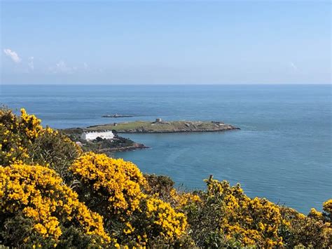 Killiney Hill Walk - Wild Irish Walks A guide to get the most from ...