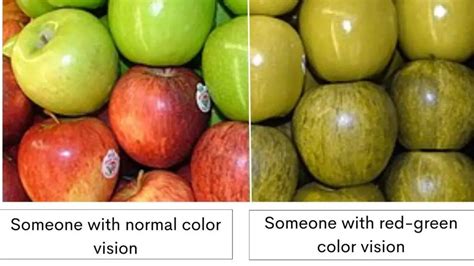 The Genetics of Red-Green Color Blindness: Causes, Symptoms, and ...