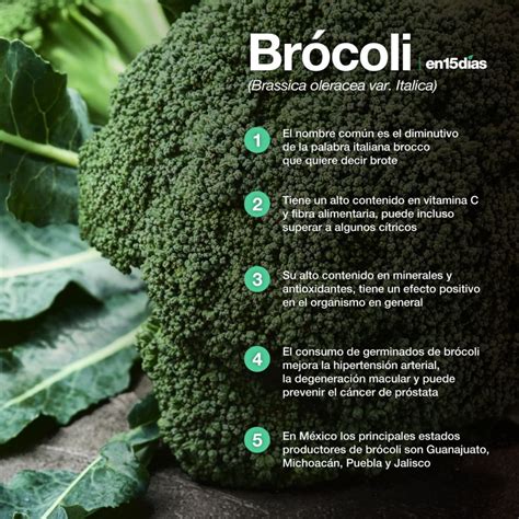 El Brócoli, brote salutífero