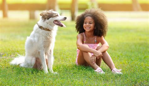 Why A Child Should Have A Dog