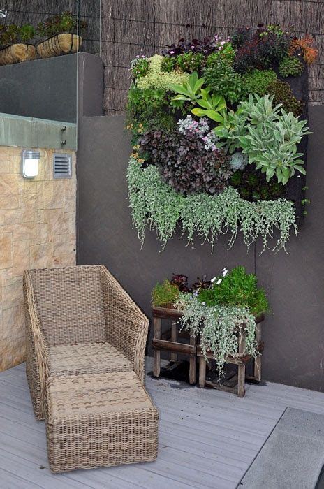 Brilliant Succulent Wall Planter Outdoor Hanging Vine Indoor Plants