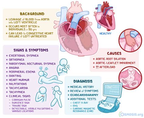 Aortic Regurgitation: What Is It, Causes, Diagnosis, Treatment, and ...