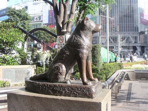 hachiko-statue-from-front