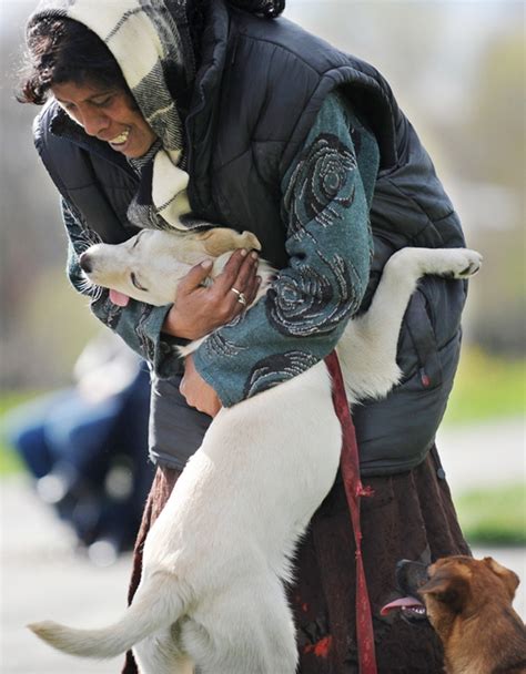 15 Dogs Hugging Their Owners Images To Make You Feel Warm and Fuzzy ...