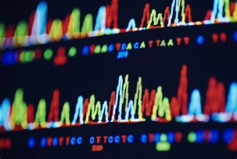 What Spectroscopy Is and How It's Different From Spectrometry | Dna ...