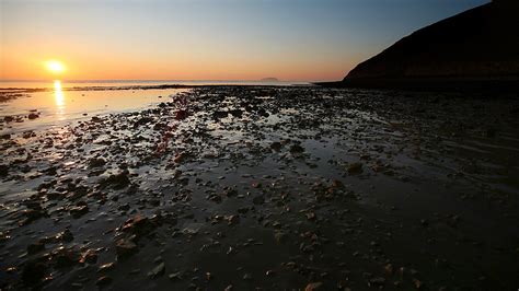 BBC Radio 4 - Nature, Series 3, Mud, Birds and Tides: The Severn Estuary