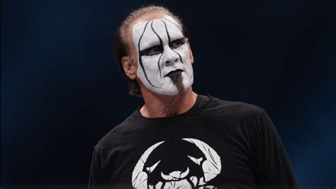 Sting Looks Back On AEW Run & Darby Allin Partnership Ahead Of 2024 ...