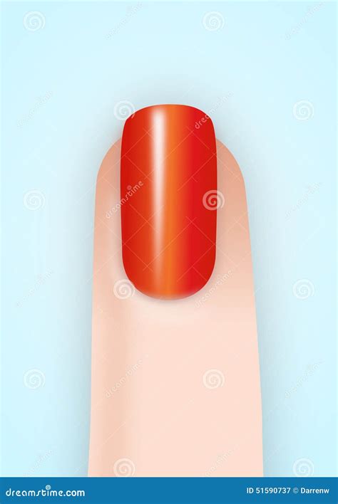 Finger Nail Stock Illustration - Image: 51590737