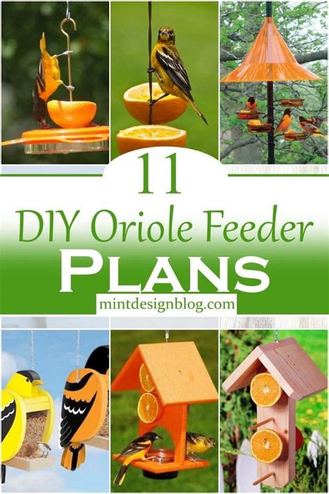 11 DIY Oriole Feeder Plans To Invite Birds In Your Garden - Mint Design ...