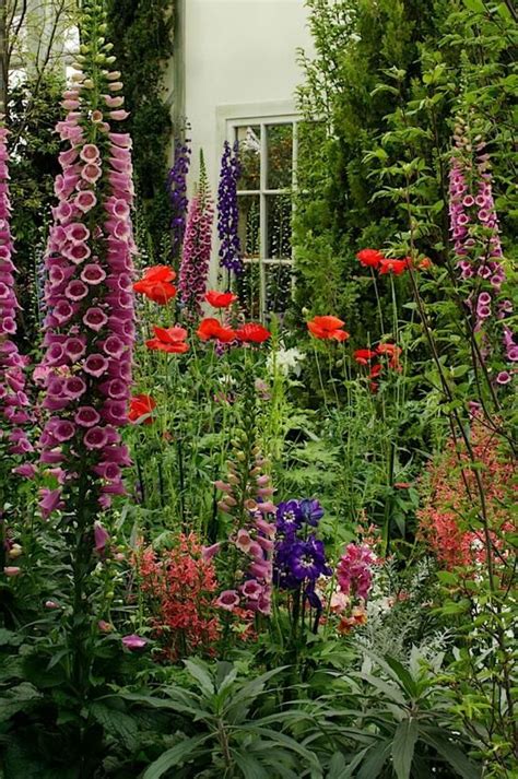 Cottage garden, foxglove, delphinium, poppies, penstemon | Cottage ...