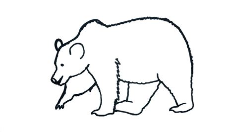 Bear Drawing For Kids, Alphabet Directed Drawing | Directed drawing ...