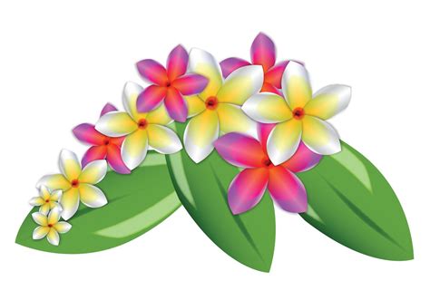 Plumeria Vector Flowers - Download Free Vector Art, Stock Graphics & Images