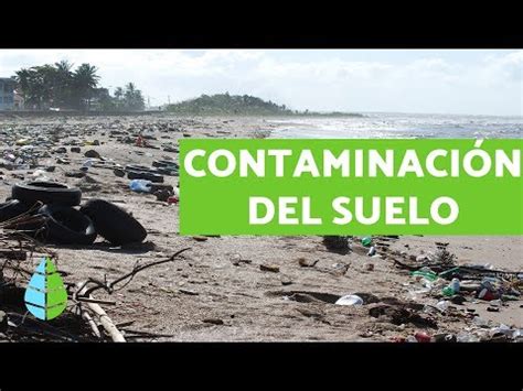 Cómo controlar la contaminación del suelo ️ Incluye VÍDEO