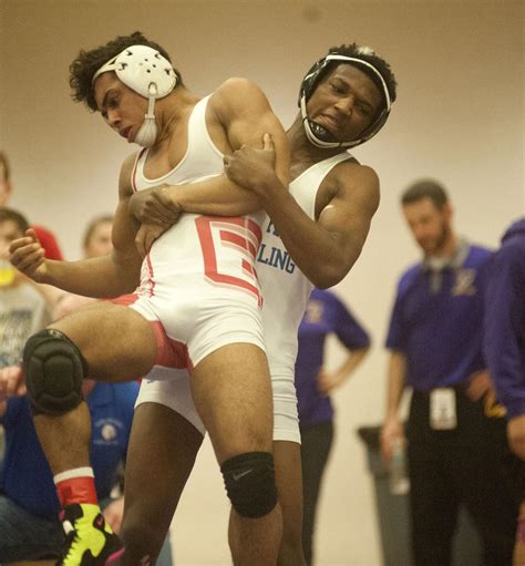 Illinois wrestling area state qualifiers | Wrestling | stltoday.com