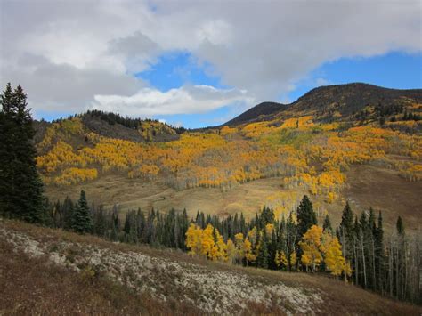 Arapaho National Forest | Natural Atlas