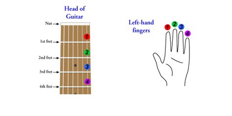 Guitar Notes for Beginners