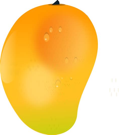 Mango clipart mango slice, Mango mango slice Transparent FREE for ...