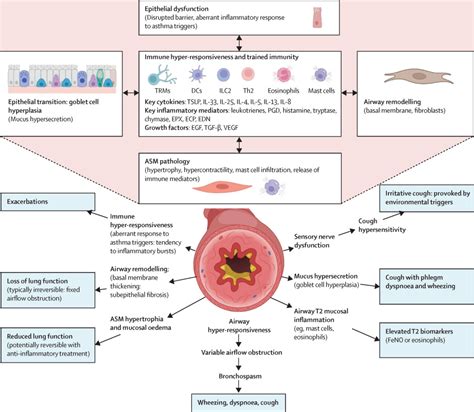 Asthma - The Lancet