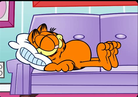 Garfield Sleeping