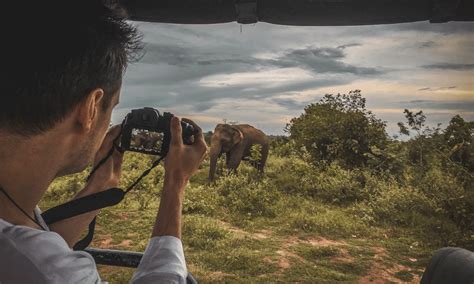 Wildlife Photography Tours In Sri Lanka