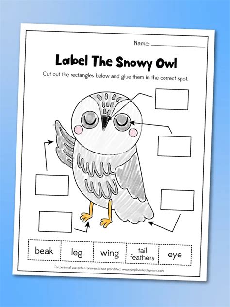 Snowy Owl Worksheets For Kids [Free Printable]