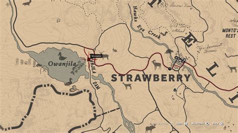 RDR2 How to ride from Van Horn to Blackwater in less than 17 minutes ...