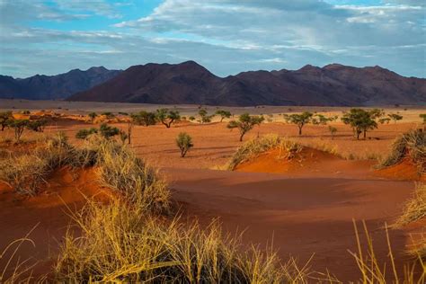 All the Best Reasons to Visit the Namib Desert