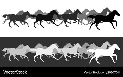 Horse Herd Running Silhouette