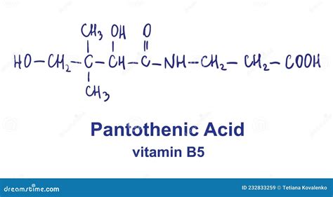 Pantothenic Acid Chemical Structure. Vector Illustration Hand Drawn ...