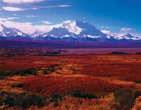 Denali National Park and Preserve | Alaska, Wildlife, Hiking Trails ...