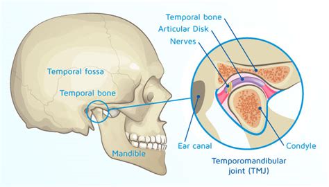 TMJ Dysfunction (or TMD) | Dentist Oakleigh | Station Square Dental