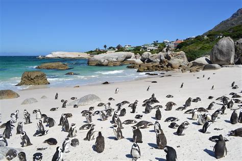 Zinderend Zuid-Afrika | Rondreizen en op vakantie in Zuid-Afrika