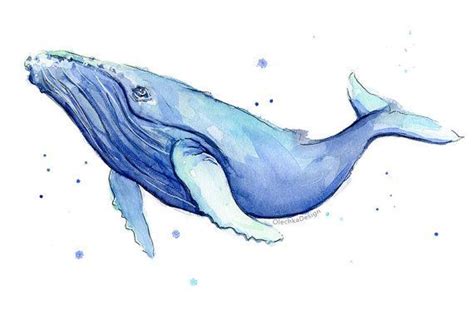 Humpback Whale Watercolor Print Whale Art Whale by OlechkaDesign ...