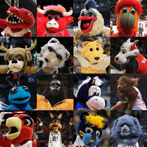 Create a NBA Mascots Tier List - TierMaker