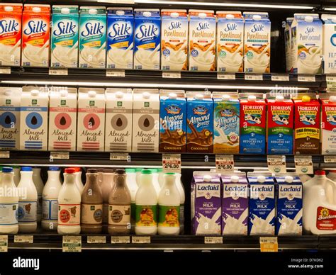 The Dairy Aisle in The Fresh Market Grocery Store in South Carolina ...