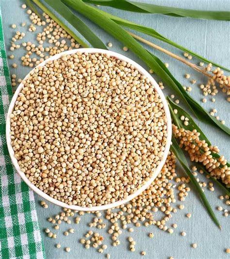 Sorghum: Benefits, Recipes, Health Risks, And More