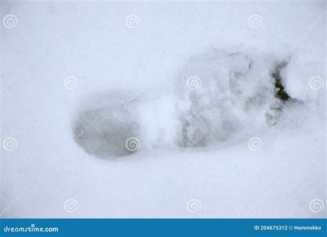 Shoe print on snow stock photo. Image of snow, print - 204675312