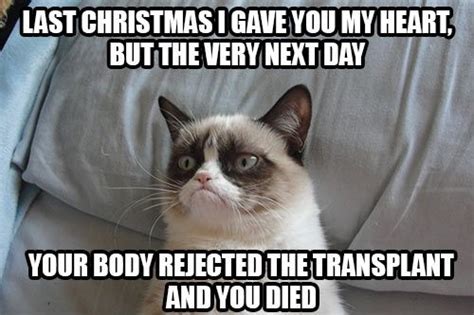 Last Christmas I gave you my heart... | Grumpy cat humor, Grumpy cat ...