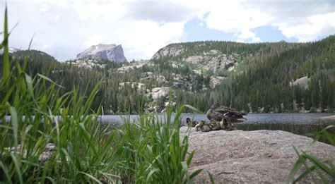 New gate, less wait: The idea behind a RMNP proposal