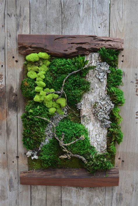 Living Moss Wall | Etsy