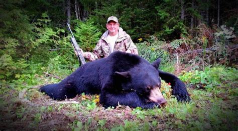 Maine Black Bear Hunting Trip