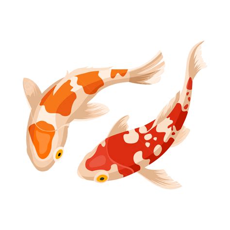 Koi Fish Illustration Vector, Koi Fish, Fish Pet, Fish Art PNG and ...